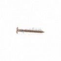 ▷ Tornillo Inviolable Phillips | Ferreidea