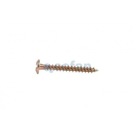 ▷ Tornillo Inviolable Phillips | Ferreidea