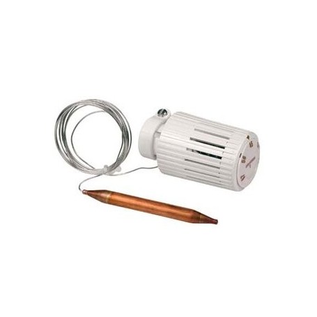 Comprar Cabezal Termostatico C/ Limitador De Temperatura ra 20Cº / 70Cº C/ Sonda 2 Metros R462L AC71261 al Mejor Precio