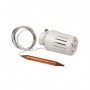 Comprar Cabezal Termostatico C/ Limitador De Temperatura ra 20Cº / 70Cº C/ Sonda 2 Metros R462L AC71261 al Mejor Precio
