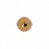 ▷ Rosca Madera TORX Rosca Total | Ferreidea