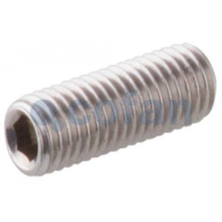 ▷ Tornillo DIN 913 Inoxidable  A-2 | Ferreidea