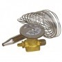 Comprar Elemento Termostatico Danfoss Para Ten 5 -40/+10ºc (67B3297) CF10391 al Mejor Precio