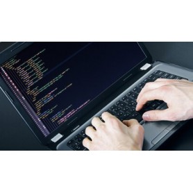 Comprar Care Parametrización Ir33&Dn33 Opción T11 CO21118 al Mejor Precio