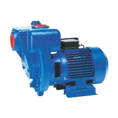 Comprar Bomba Autoaspirante Hgm-1 Monofásicasica EB10572 al Mejor Precio