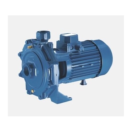 Comprar Bomba CenTrifásicaga Monofásicasica Cb-160/01 EB10602 al Mejor Precio