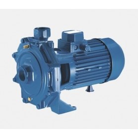Comprar Bomba CenTrifásicaga Trifásicasica Cbt-210/01 EB10610 al Mejor Precio