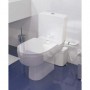 Comprar Bomba Trituradora "Sanitop" FO04002 al Mejor Precio