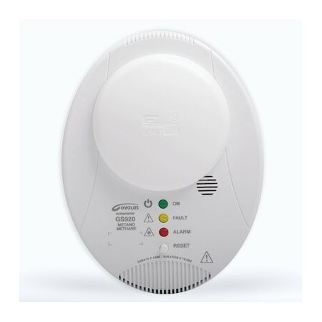 Comprar Detector Gs920 De Gn Y Glp+Antisismico. Alarma Acustica Y Rele Incorpo Radiador. GD04107 al Mejor Precio