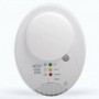 Comprar Detector Gs920 De Gn Y Glp+Antisismico. Alarma Acustica Y Rele Incorpo Radiador. GD04107 al Mejor Precio