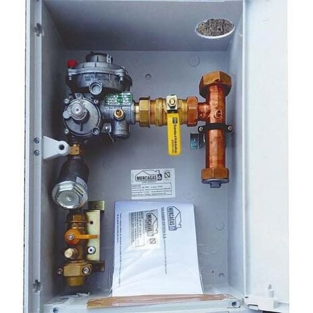 Comprar Armario Normalizado As50Rmm Con Ps 22 Mbar Ent Radiador Pe Diam. 32 Vis Maxima Y Minima GM04510 al Mejor Precio