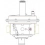 Comprar Regulador Rbl06Z 120 Con Ps: 15÷33 Mbar Montado Para Bg25 Mpa E/S: M 1½" X M 2" GM05010 al Mejor Precio