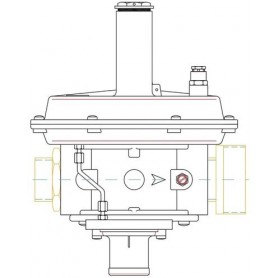 Comprar Regulador Rbl06Z 120 Con Ps: 15÷33 Mbar Montado Para Bg40 Mpa E/S: M 1½" X M 2½" GM05015 al Mejor Precio