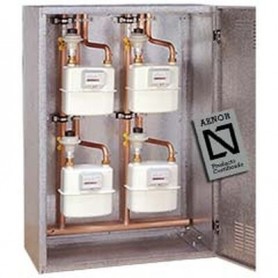 Comprar Armario Poliester Con Bateria Modular Gn / Mpa 7 Contadores 1000X1000X300 2+2+2+1 GN21604 al Mejor Precio