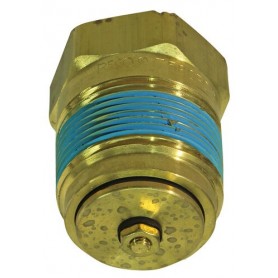 Comprar Chek-Lok "Rego" 3/4" Npt GP08002 al Mejor Precio