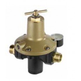 Comprar Regulador Salida Regulable Mod. R-1333/Pe GP10077 al Mejor Precio