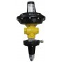 Comprar Regulador Gastech Mod. R25/S-Bp Rp. 1" Salida (Wds): 2035 Mbar Max. (Wdso) 35-125 Mbar Min. (Wdsu) 15-35 Sin Vas. GR0800