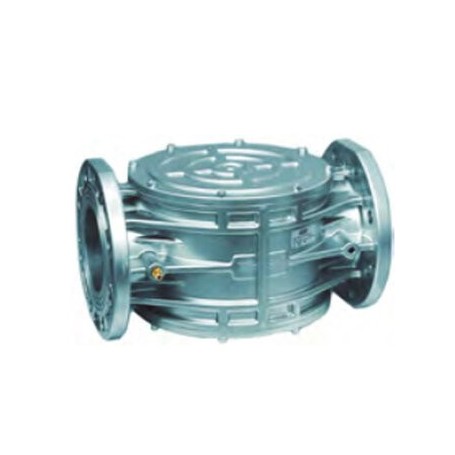 Comprar Filtro Gas Ff Dn125 Bridas 6 Bar GR17010 al Mejor Precio