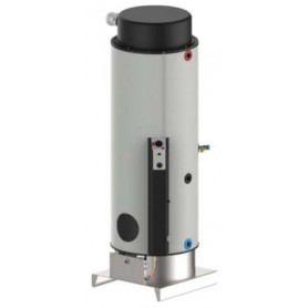 Comprar Calentador-Acumulador Estanco A Gas Tgfn-3 Lx 300 Litros GX28791 al Mejor Precio