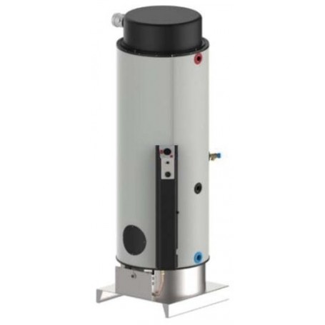 Comprar Calentador-Acumulador Estanco A Gas Tgfn-3 Lx 300 Litros GX28791 al Mejor Precio