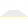 Comprar Panel Industrial 100Mm Exterior Blanco / M19/1119 PF18004 al Mejor Precio