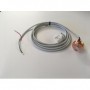 Comprar Electricorodo En Cobre Y Platino Para Sonda Amperométrica Ecl 6/7 PS04130 al Mejor Precio