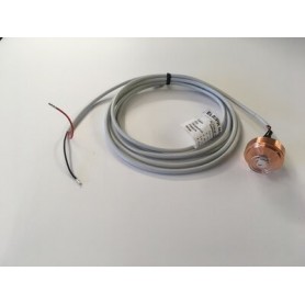 Comprar Electricorodo En Cobre Y Platino Para Sonda Amperométrica Ecl 6/7 PS04130 al Mejor Precio