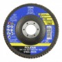 Comprar Disco Polifan 125-60 Laminado Circonio 17126 Caballito al Mejor Precio
