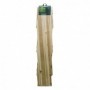 Comprar Trellis Wood Plegable 1X2 2019461 313112 Nortene al Mejor Precio