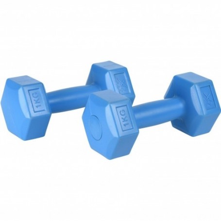 Comprar Mancuernas Cemento 1 Kg 2 Piezas Importacion 205609 al Mejor Precio