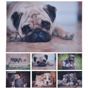 Comprar Alfombra Perros/Gatos 38X58 Cm Surtida  Importacion 22087 al Mejor Precio