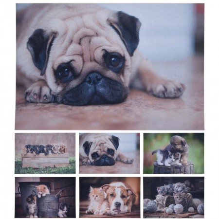 Comprar Alfombra Perros/Gatos 38X58 Cm Surtida  Importacion 22087 al Mejor Precio