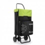 Comprar Carro para la Compra Termo Fresh Mf4 Negro/Lima  Rolser 84525 al Mejor Precio