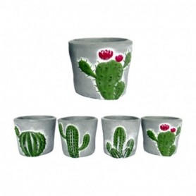 Comprar Macetero Cactus Surtidos 9X9X8 Cm  Fedor 146025 al Mejor Precio