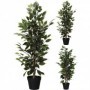 Comprar Planta Artificial + Maceta 95 Cm Ficus Surtida  Importacion 18552 al Mejor Precio
