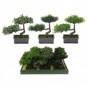 Comprar Planta Artificial Bonsai 22 Cm Surtido  Importacion 18551 al Mejor Precio
