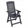 Comprar Sillon Posiciones Resina Tampa Antracita  Progarden 206970 al Mejor Precio