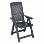 Comprar Sillon Posiciones Resina Tampa Antracita  Progarden 206970 al Mejor Precio