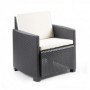 Comprar Sillon Sicilia Con Cojin   Progarden 206967 al Mejor Precio
