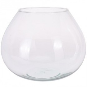 Comprar Terrario Florero Vidrio 26X20 Cm  Importacion 102003 al Mejor Precio