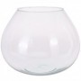 Comprar Terrario Florero Vidrio 26X20 Cm  Importacion 102003 al Mejor Precio
