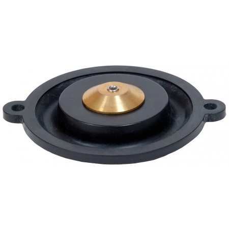 Membrana EPDM para electroválvulas solenoide PARKER 7321B/7322B/PM133H/PM143 2"