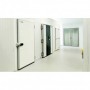PUERTA CAMARA PIVOTANTE MARCO PANEL CONGEL.200x090 BLANCA AL