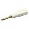 ▷ Banana Miniatura. Dorada, Blanca. | Ferreidea