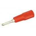 ▷ Banana Miniatura Dorada Roja | Ferreidea