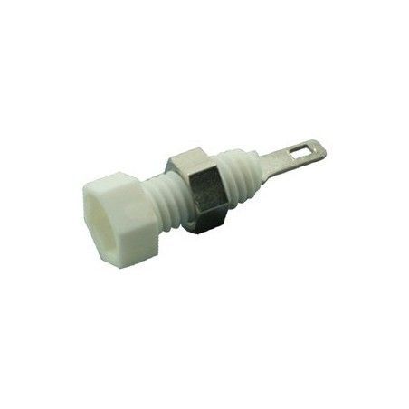 ▷ Hembrilla Blanca - Pack 100 uds