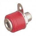 ▷ Hembrilla Roja - Pack 50 uds