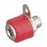 ▷ Hembrilla Roja - Pack 50 uds