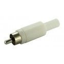 ▷ Macho Rca Blanco - Pack 50 uds