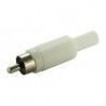 ▷ Macho Rca Blanco - Pack 50 uds